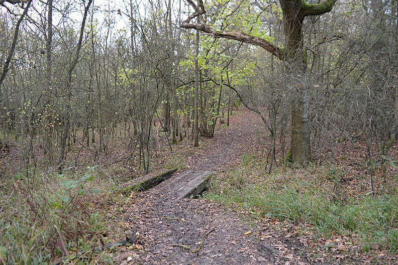 Marston Thrift 7