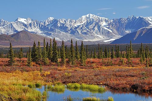 Monahan Flat and the eastern Alaska Range mountains