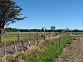 Newman railway station 03