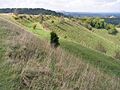 Northern edge of Beacon Hill hillfort - geograph.org.uk - 248713