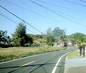 PR-462 between Moca and Aguadilla in Puerto Rico