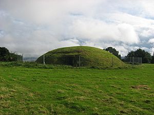 Passage tomb at Fourknocks, Co. Meath - geograph.org.uk - 544567.jpg