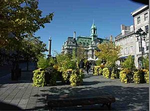 Place Jacques-Cartier, Montreal 2005-10-21