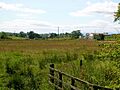 Pokelly Hall and Balgray Mill fron site of Damback