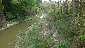 Ponchatoula Creek, Louisiana