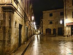 Pontevedra-Rúa Don Filiberto (10834100474)