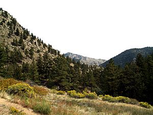 Poudre Canyon, Greyrock trail