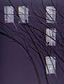 Purple Wind, 1995