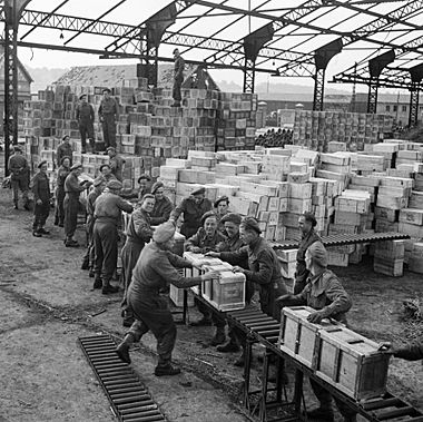 RASC troops stacking ration boxes in the harbour at Dieppe, 14 October 1944. B10867
