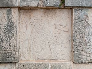Relief in Chichén Itzá. Quintana Roo. Mexico