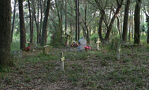 Remley Point Cemetery 2