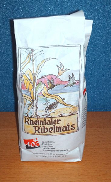 RheintalerRibel2