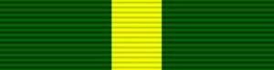 Ribbon - Efficiency Decoration (South Africa)