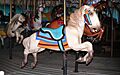 Ross Park Carousel 2
