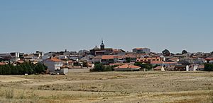 Panoramic view of Santa Cruz del Retamar.