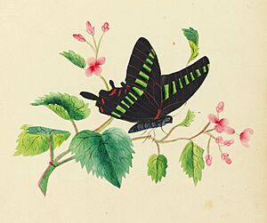 Sarah Mapps Douglass cassey-album-p-9764-p5 crop