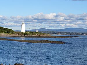 SheoakPointLight 2048px
