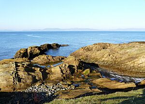 Shoreline looking across Dornoch Firth - geograph.org.uk - 687442