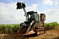 Sugarcane harvesting equipment Piracicaba 05 2009 5845