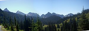 Tatoosh 01
