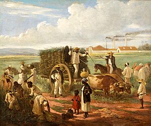 Victor Patricio - Corte de Cana, 1874