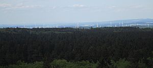 Vogelsberg Blick vom Bismarckturm Taufstein Sommer 2015