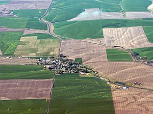 Aerial view of Wasco