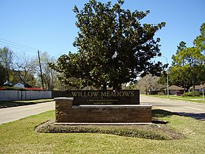 WillowMeadowsHouston