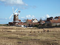 Windmill Reed beds Cley.jpg
