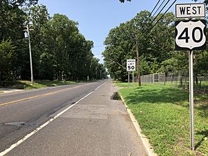 2018-08-15 11 52 23 View west along U.S. Route 40 (Harding Highway) just west of Salem County Route 553 (Buck Road) along the border of Pittsgrove Township and Upper Pittsgrove Township in Salem County, New Jersey