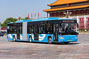 4838397 at Tian'anmen (20200825105132)