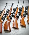 Airrifle Collection