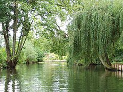 Amiens (dans les Hortillonnages) 1