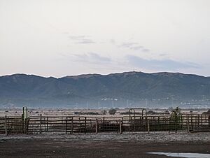 Big Rock Ridge as viewed from the Northeast