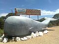 Big Whale Statue at Eucla, Western Australia