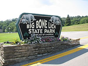 Bigbonelick