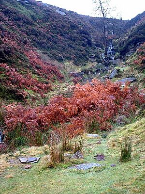 Bronte Falls - geograph.org.uk - 90342.jpg