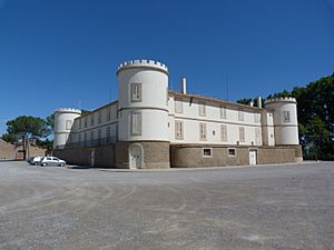 Remei castle