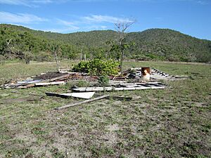 Collapsed school house from W (2011)