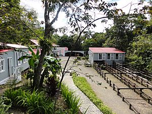 Complejo Museo Hacienda Buena Vista, mirando al sur, desde la Depulpadora de Cafe, en Bo. Magueyes, Ponce, PR (DSC03604).jpg