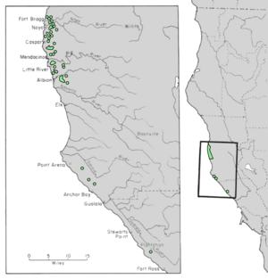 Cupressus pygmaea range map 4.png