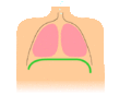 Diaphragmatic breathing