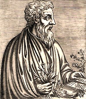 Dioscorides01
