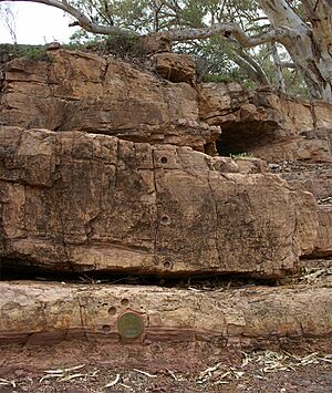 Ediacaran-GSSP-IMGP6652-