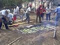 Enterrando los pibipollos