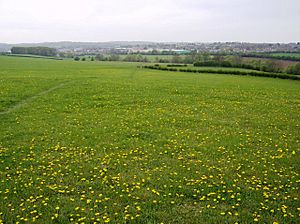First view of Stamford - geograph.org.uk - 487426