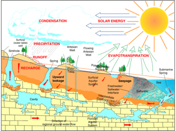 Florida groundwater cycle