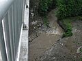 Four Mile Creek from Wintergreen Gorge Bridge