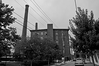 Fulton Bag and cotton mill.jpg