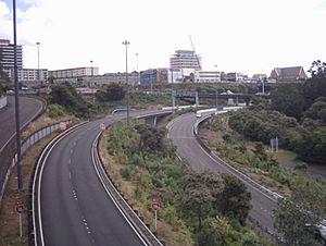 Grafton Gully Auckland Motorway